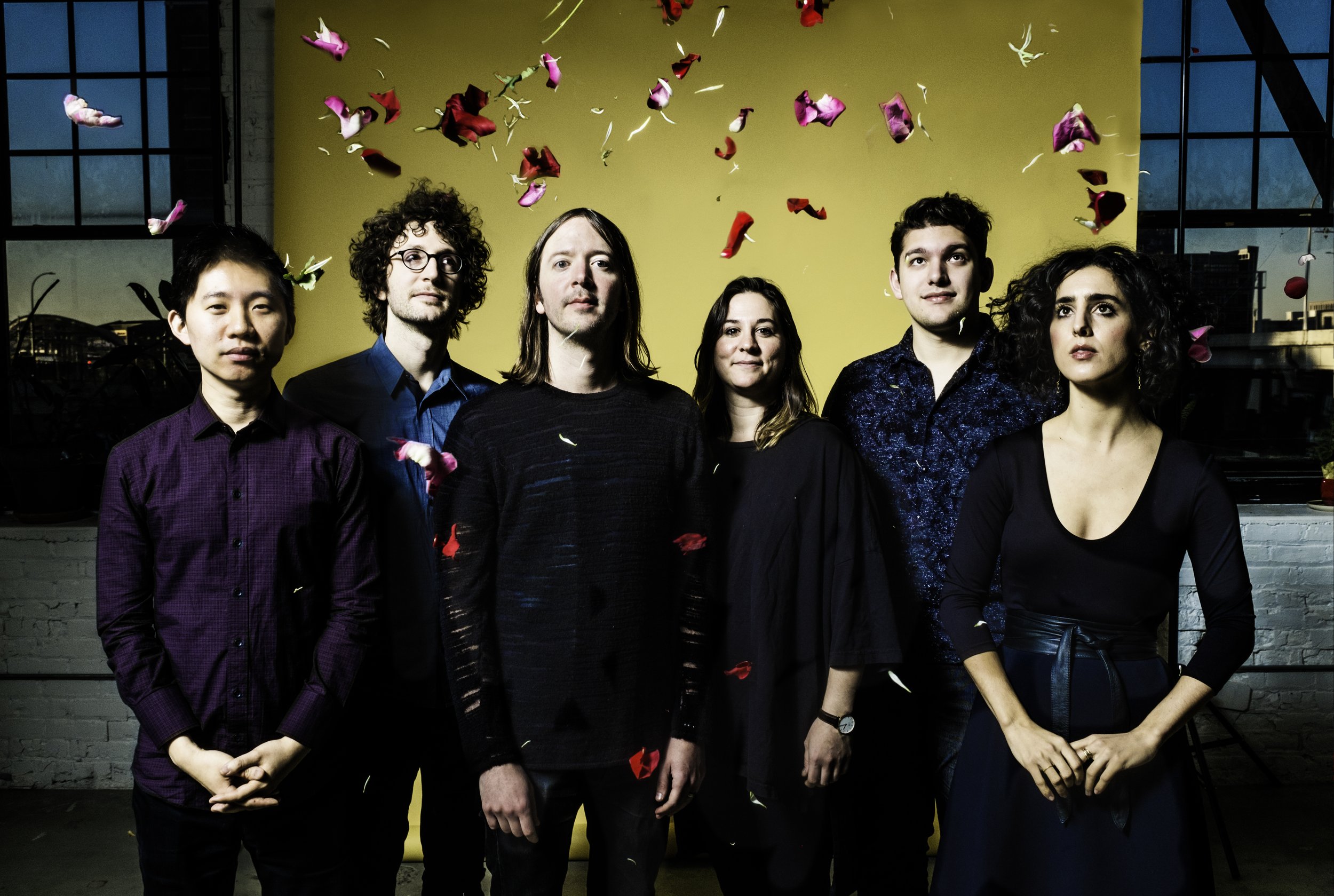 The six members of yMusic stand in front of a yellow background wearing black.